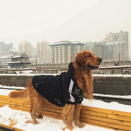 A Pousada Jano'S Backpackers Xi'An Xian Exterior foto